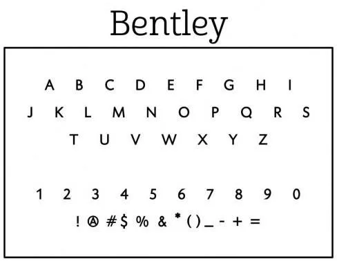 Bentley Professional Rectangle Self-Inking Stamper or Hand Stamp