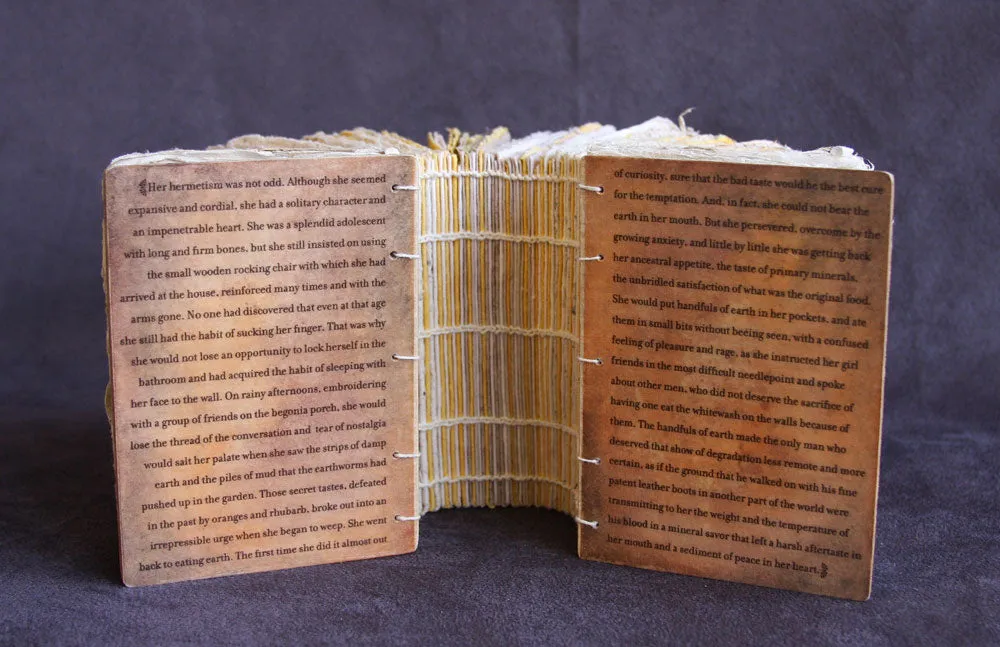 Dirt Book by Katya Reka -SOLD! -*LIBRARIAN'S CHOICE AWARD!