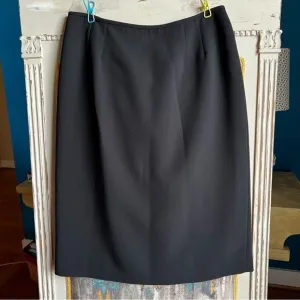 Dress Barn Back Skirt
