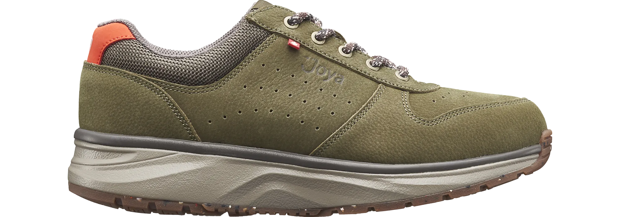 Dynamo Classic green