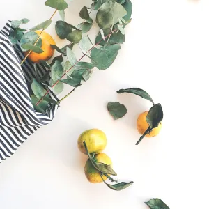 Eucalyptus Essential Oil