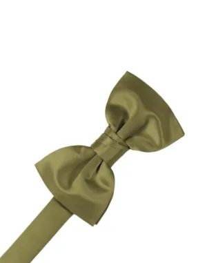 Fern Luxury Satin Kids Bow Tie