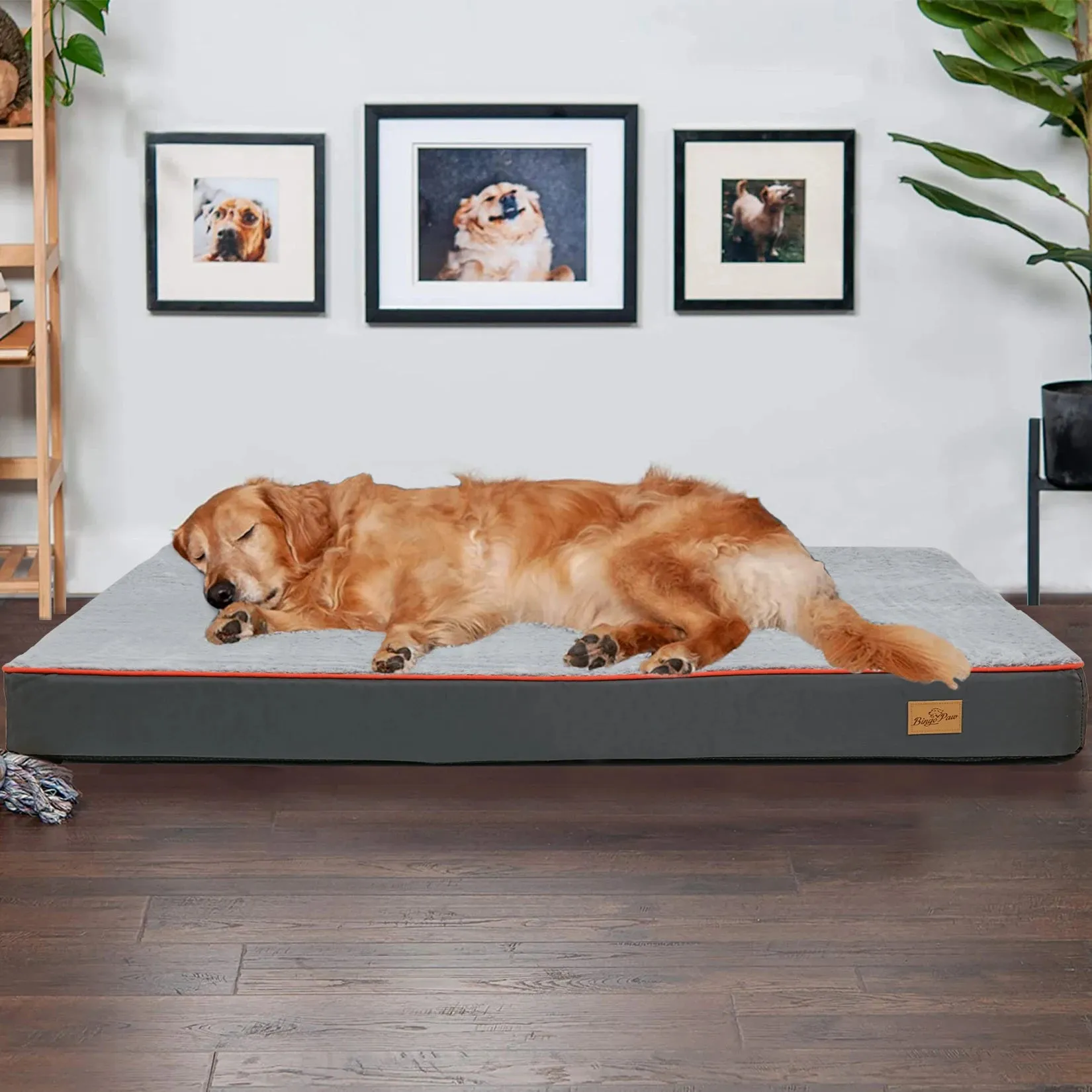 Luxury Padded Dog Bed for Comfort and Support – Ideal for Large Breeds