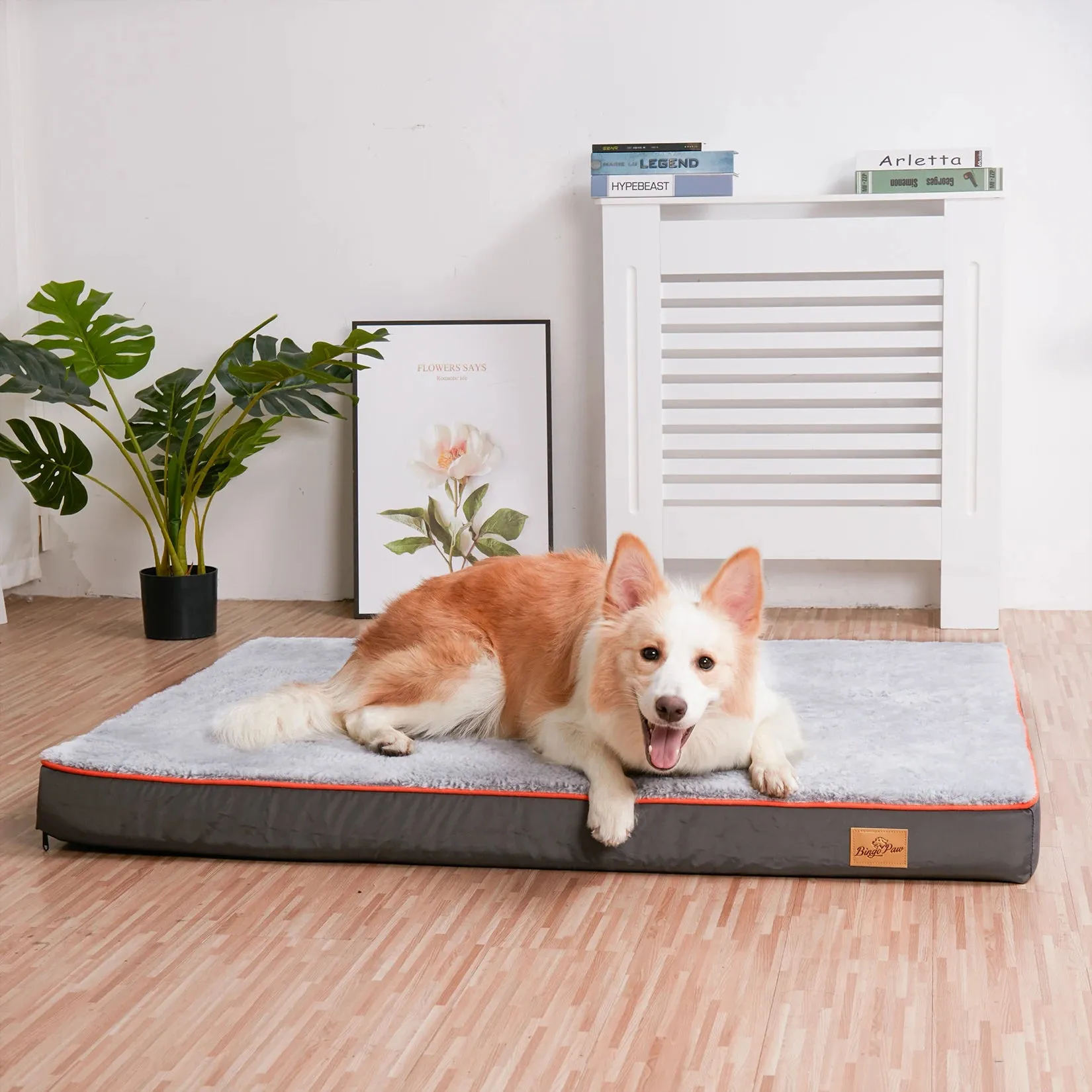 Luxury Padded Dog Bed for Comfort and Support – Ideal for Large Breeds