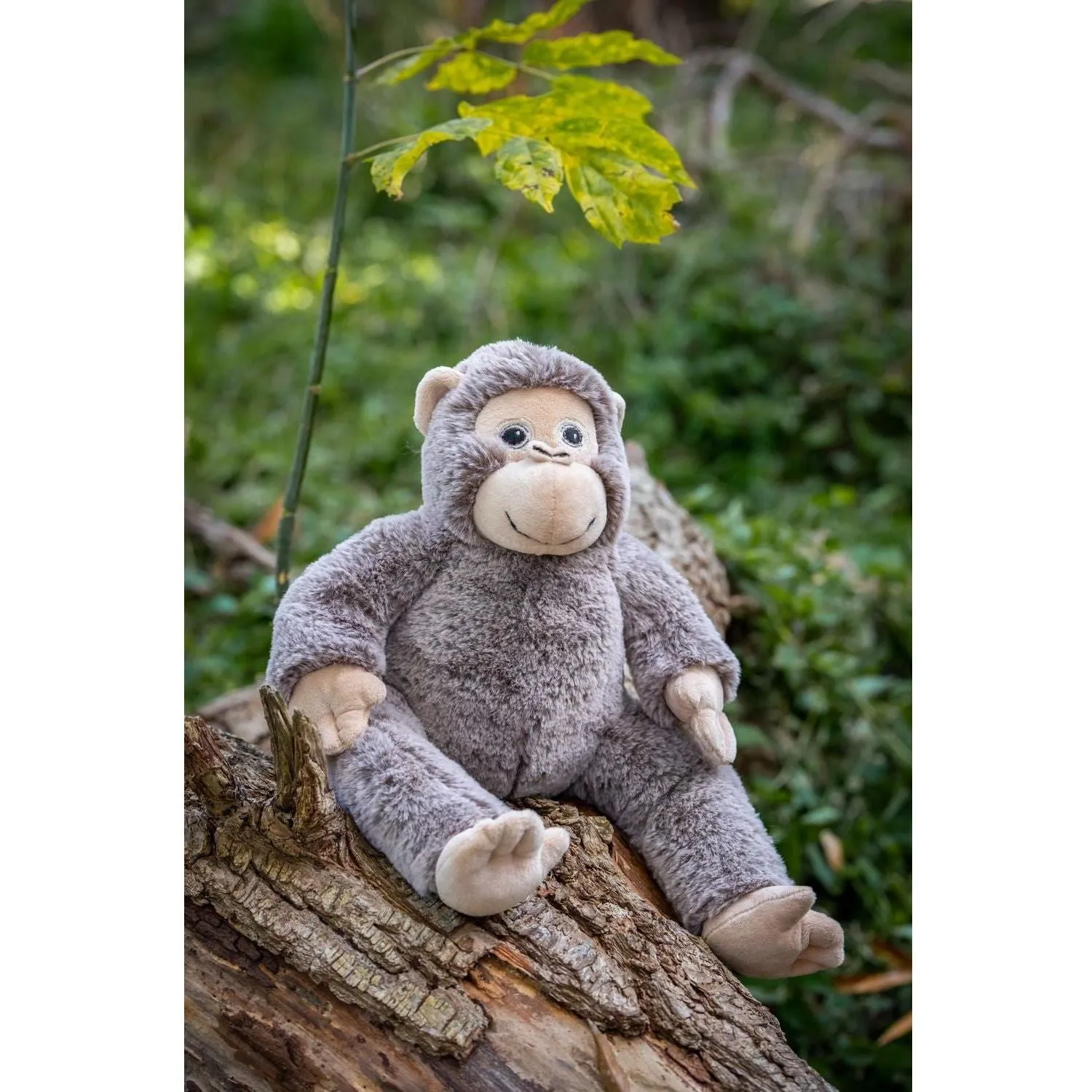 Maisie the Monkey