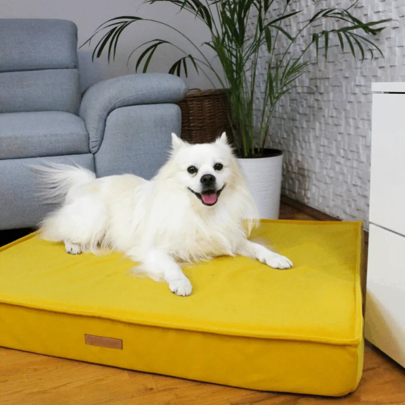 MISSOGNO Charm Orthopaedic Rectangle Dog Bed