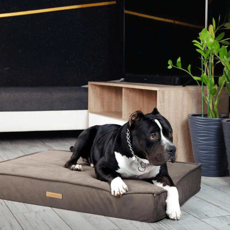 MISSOGNO Charm Orthopaedic Rectangle Dog Bed