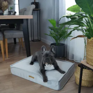 MISSOGNO Charm Orthopaedic Rectangle Dog Bed