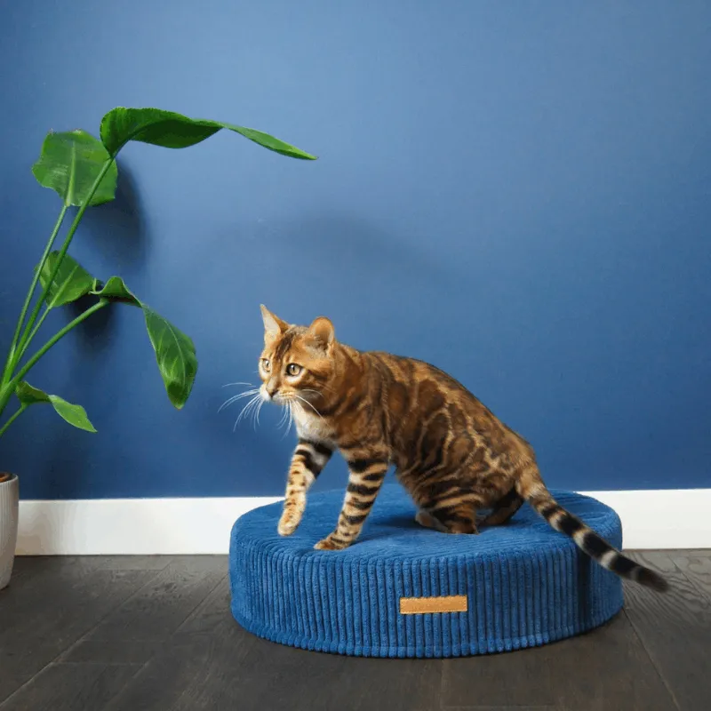 MISSOGNO Dreamy Corduroy Round Pet Bed