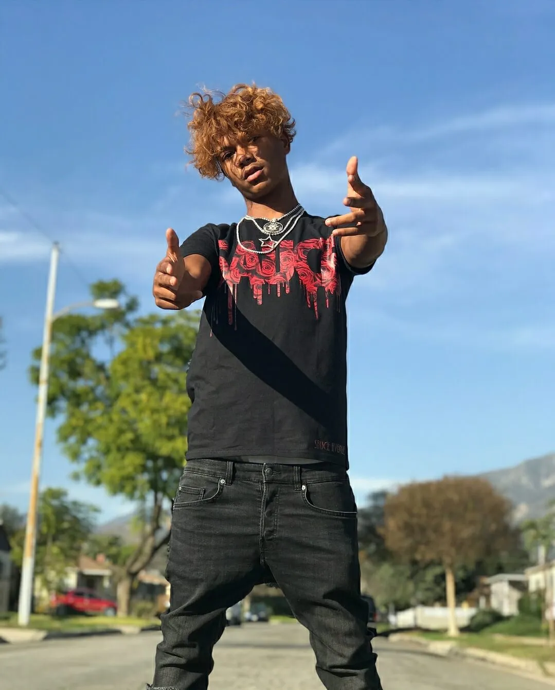 Red Rose Sauce | Black Tee