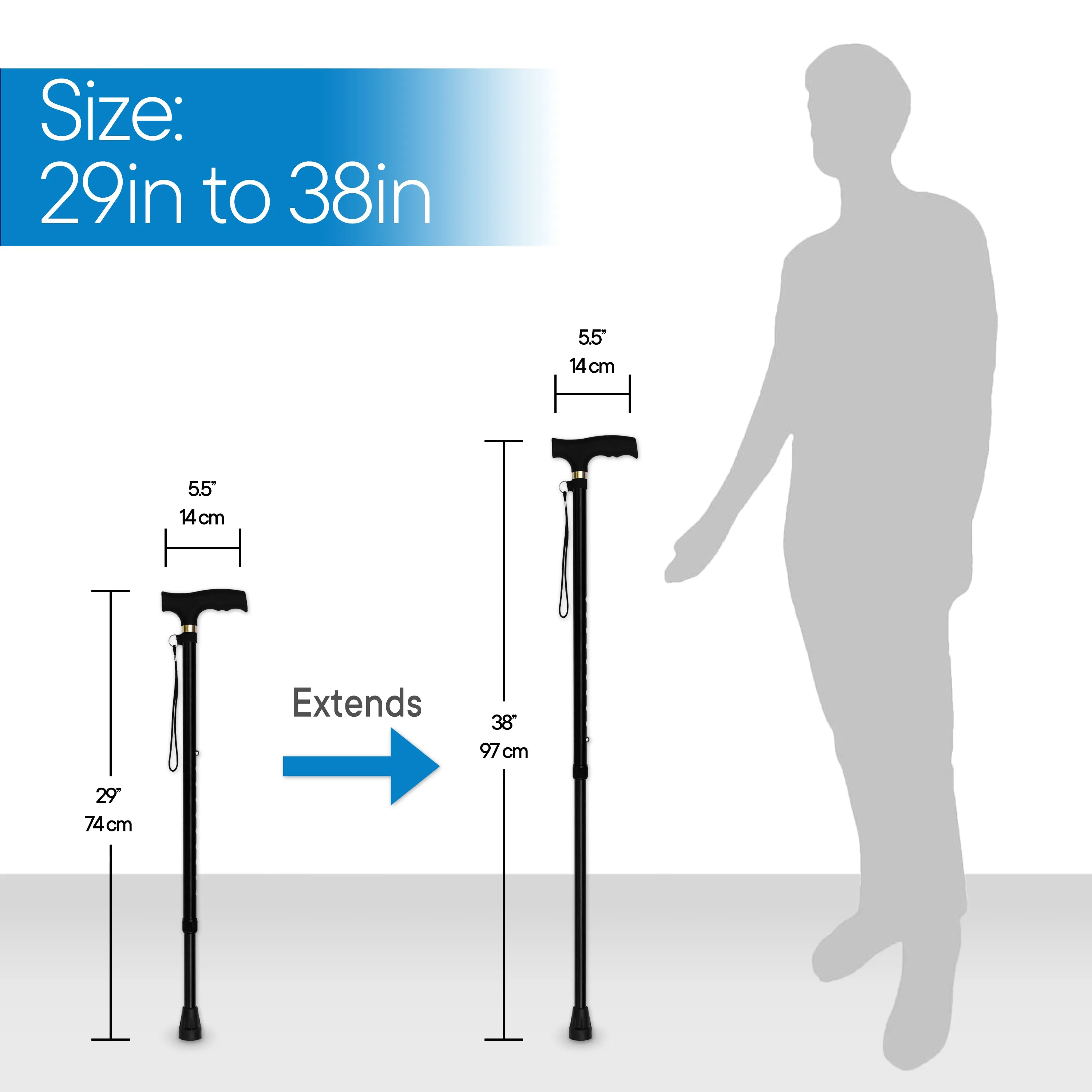 RMS - Walking Cane (Black)