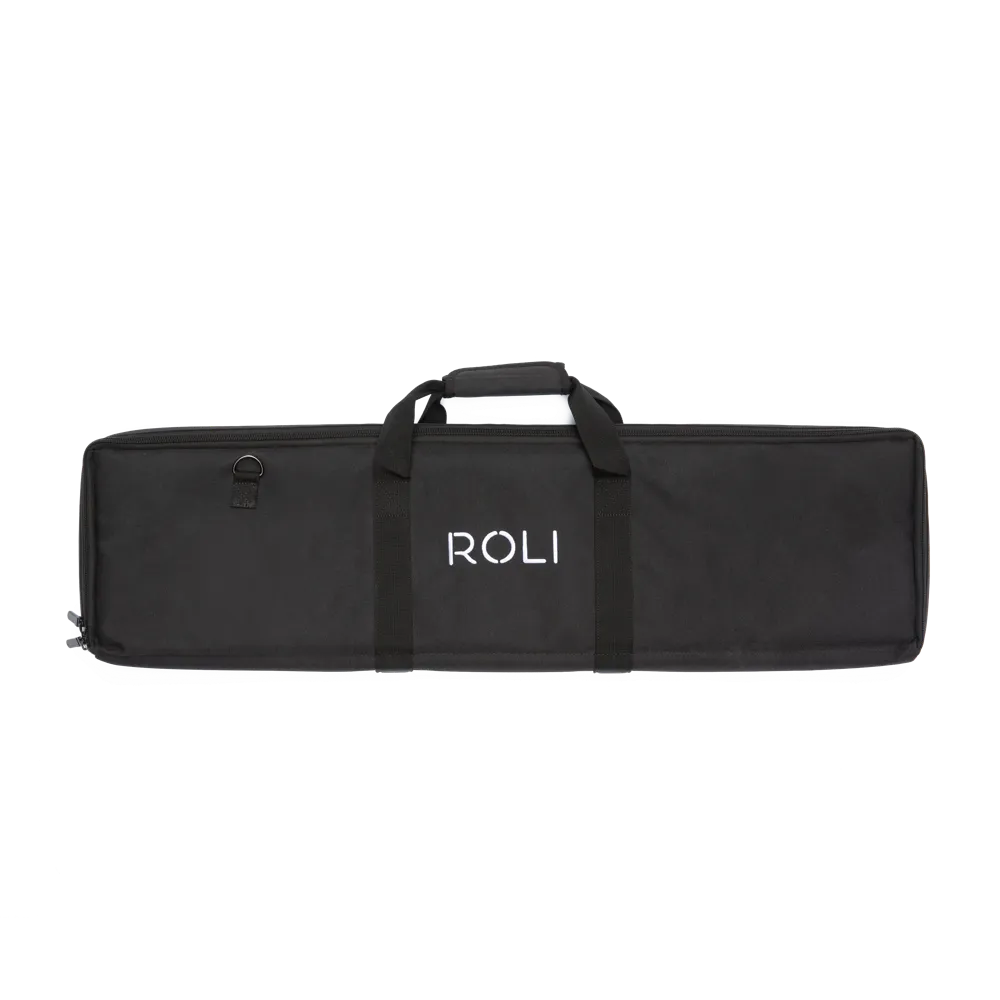 Seaboard 2 Soft Case