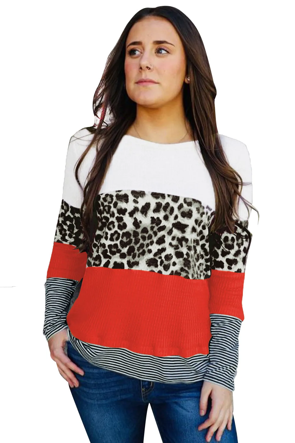 Stripes Leopard Splicing Colorblock Long Sleeve Top