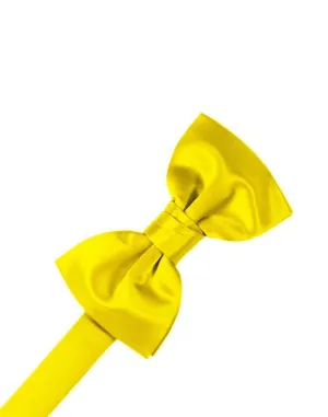 Sunbeam Luxury Satin Kids Bow Tie