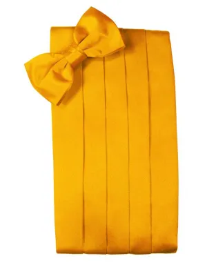 Tangerine Luxury Satin Cummerbund
