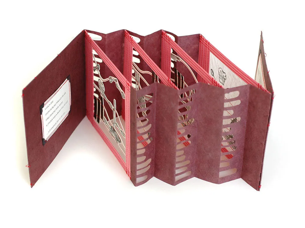 The Wild Book by Bettina Pauly