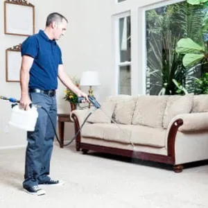 Ultra-Guard Stain Protection - Professional Application