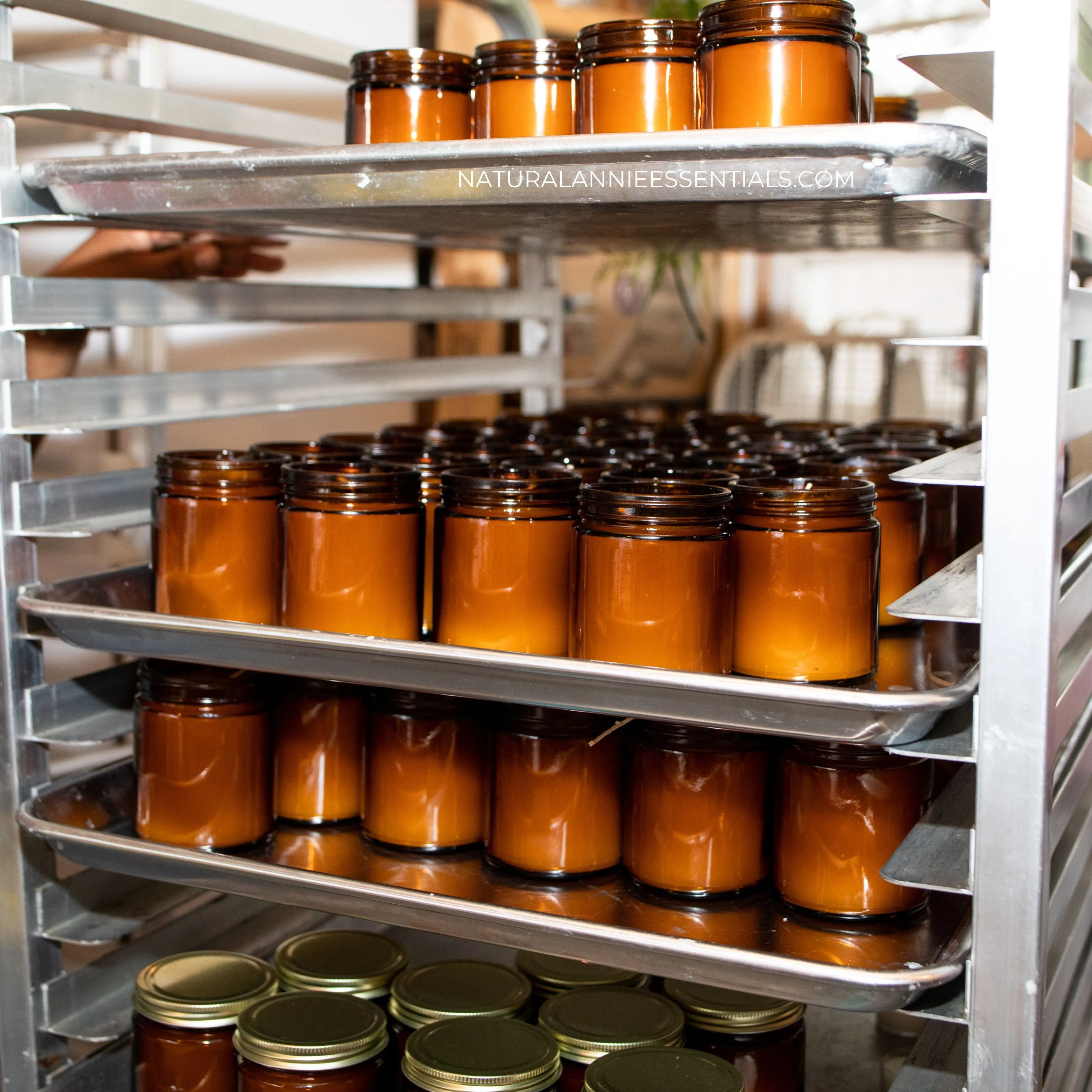 White Label/Private Label Custom Scented Soy Candles(12  9oz candles)