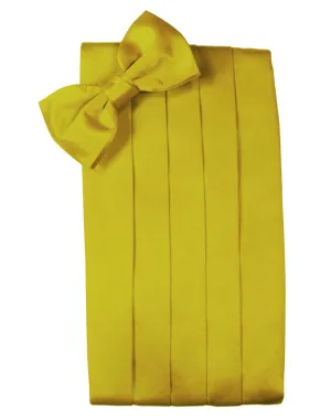 Willow Luxury Satin Cummerbund