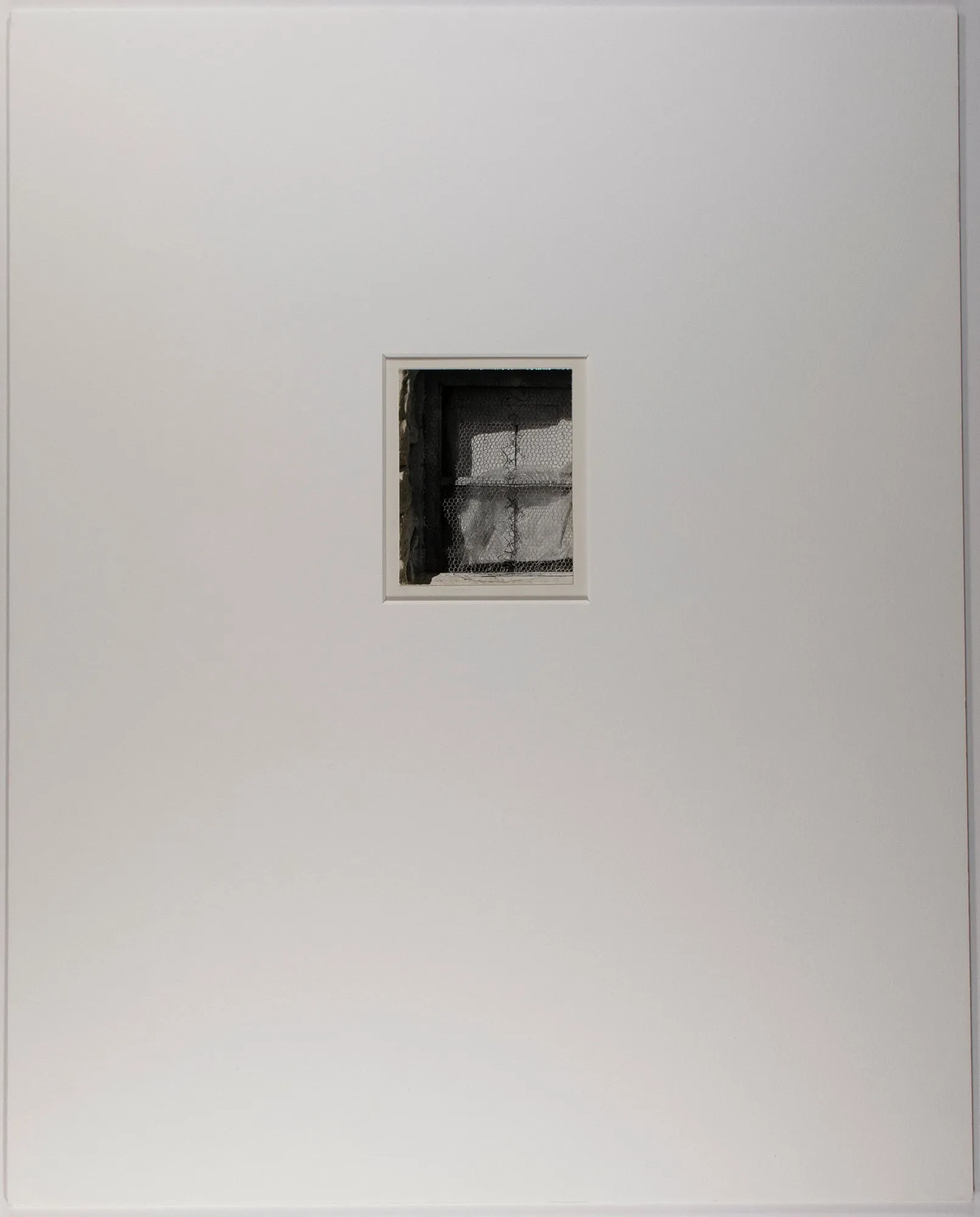 Window With Wire Mesh